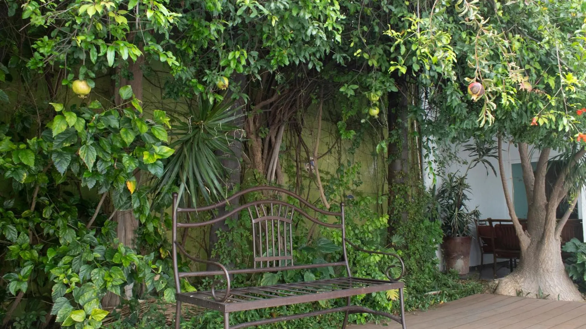 Casa Blanca Villa Guadalajara Holiday home